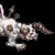 final fantasy xii sky pirates den fafnir sprite