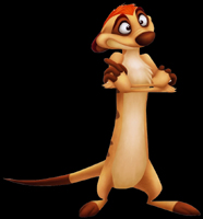 kingdom hearts character timon